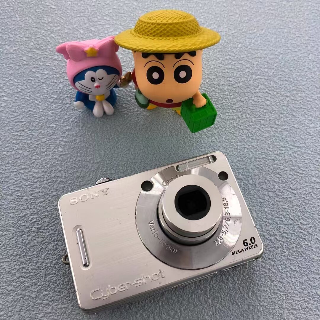 Sony Cyber-shot DSC-W50 6.0MP 3x Optical Zoom Digital Camera