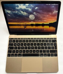 12in MacBook 2017 | eBay