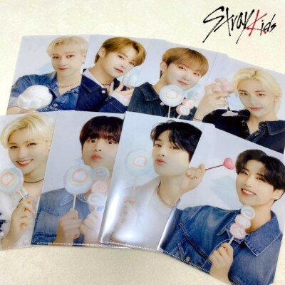 Stray Kids FamilyMart Japan Limited Official Clear file folder B5