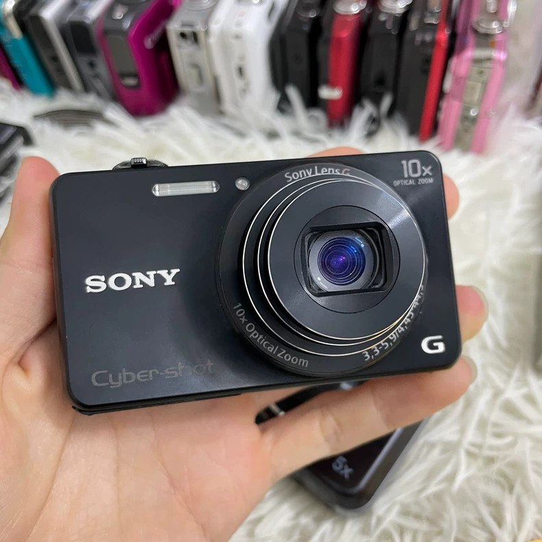 Sony Cyber-Shot DSC-WX220 18.2 MP Digital Camera 10X Optical Zoom