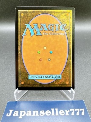 Anima Grief FOIL BORDERLESS MTG Final Fantasy Secret Lair SLD