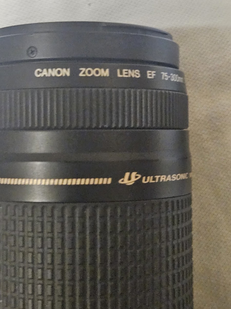 Canon Ultrasonic Zoom Lens EF 75-300mm 1:4-5.6 II ( MINT CONDITION