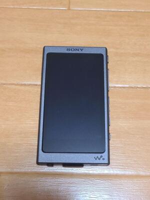 SONY NW-A46HN WALKMAN A40 Series 32GB Grayish Black Audio Player