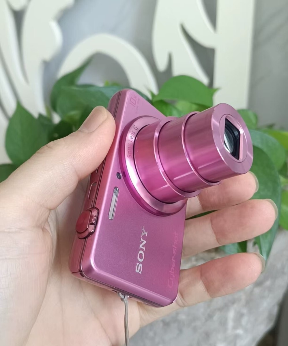 SONY Cyber Shot DSC-WX200 18.2MP 10x Digital Camera &Battery sd