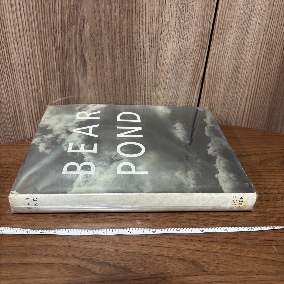 Bear Pond Bruce Weber Photography Book Hardcover 1990 Used | eBay