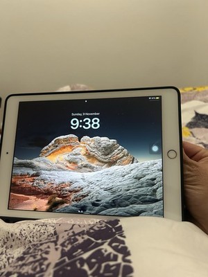 Apple iPad 5. Gen. 32GB, WLAN, 24,64 cm, (9,7 Zoll) - Gold online