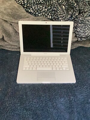 Apple MacBook 13 in 2009 White/Intel Core 2 Duo 2.13 GHz, 160 GB 2