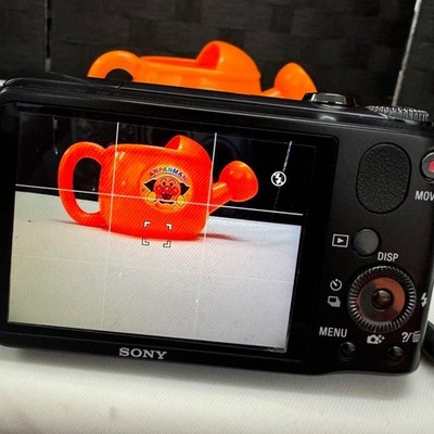 Sony Cyber-shot DSC-HX10V Digital Camera 18.2MP 16xOptical Zoom