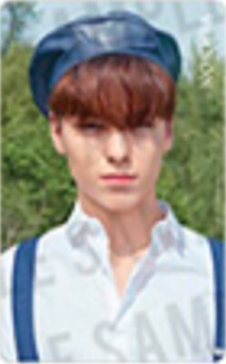 SEVENTEEN An Ode HMV JAPAN LIMITED OFFICIAL PHOTO CARD jeonghan