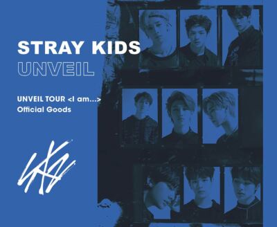 STRAY KIDS UNVEIL TOUR [I am] OFFICIAL GOODS LENTICULAR