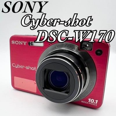 Fully working] SONY Cyber-shot DSC-W170 Compact Digital Camera