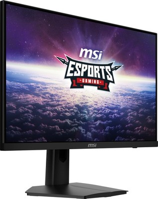 MSI G244F E2 24