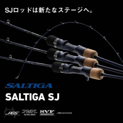 Daiwa Offshore Rod Saltiga SJ 61B-5/W (Baitcasting 1 Piece) | eBay