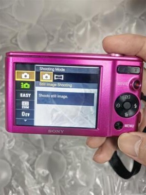 Sony Cyber-shot DSC-W810 20.1MP Compact Digital Camera -Silver