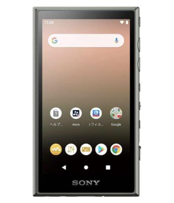 WALKMAN SONY WALKMAN NW-A100 SERIES | eBay