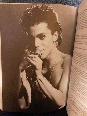 Prince - A documentary by Per Nilsen | eBay