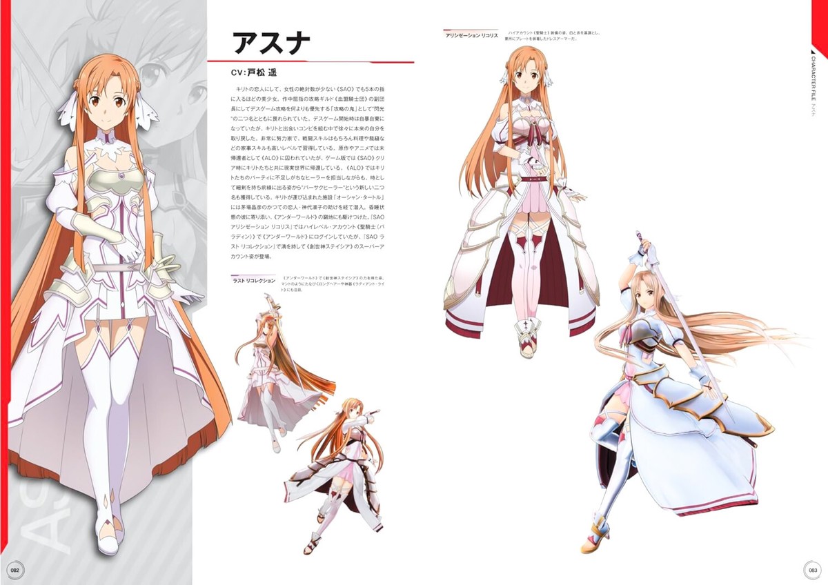 Game Sword Art Online 10th Anniversary Official Design Works (DHL