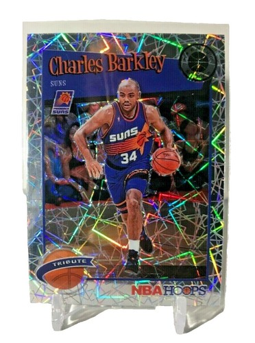 Charles Barkley SIR CHARLES Phoenix Suns 1993 Slam Dunk Costacos