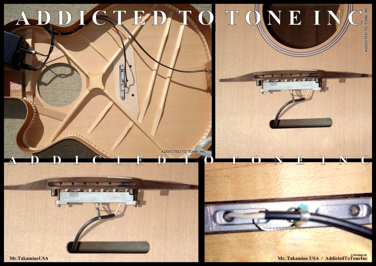 Takamine PRO SERIES Palathetic STEEL String Pickup Assembly