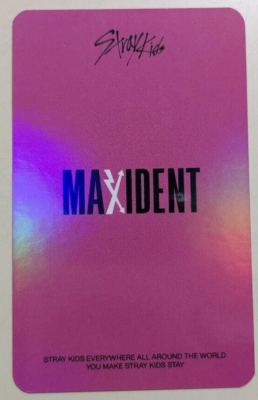 Stray Kids Lee Know MAXIDENT KMS KMStation POB hologram Offical