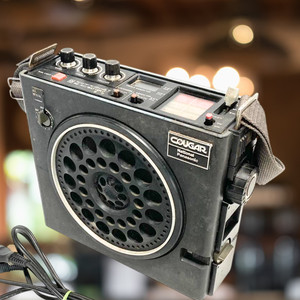 Panasonic RF 888 | eBay