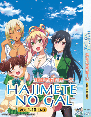 DVD ANIME HAJIMETE NO GAL VOL.1-12 END [ENGLISH DUBBED] REG ALL | eBay