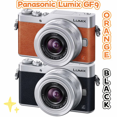 Panasonic Lumix GF9 Flip Screen WiFi Mirrorless (Micro Four Thirds