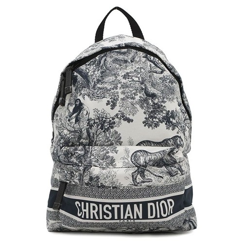 Dior Travel Backpack | eBay