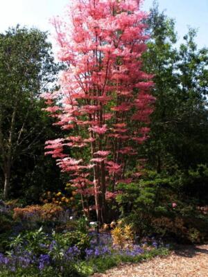 $_1.JPG?set_id=880000500F