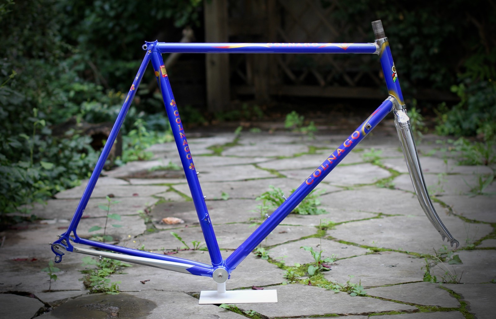 _57.JPG?set_id=880000500F