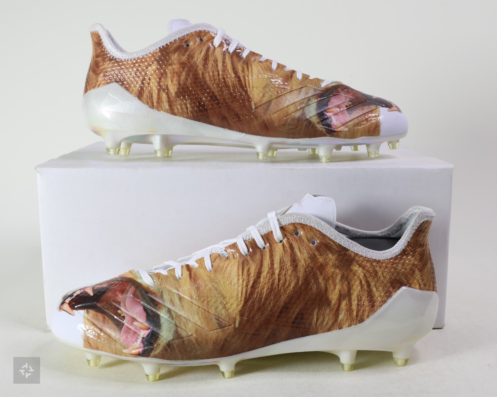 $_57.JPG?set_id=880000500F