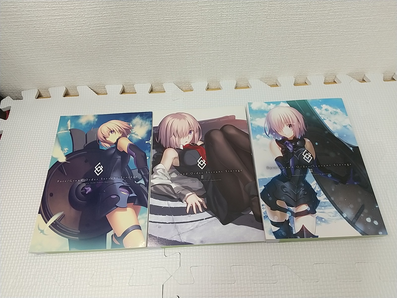 Fate / Grand Order Servant Storage Book TYPE-MOON Ace Vol. 1 2 3