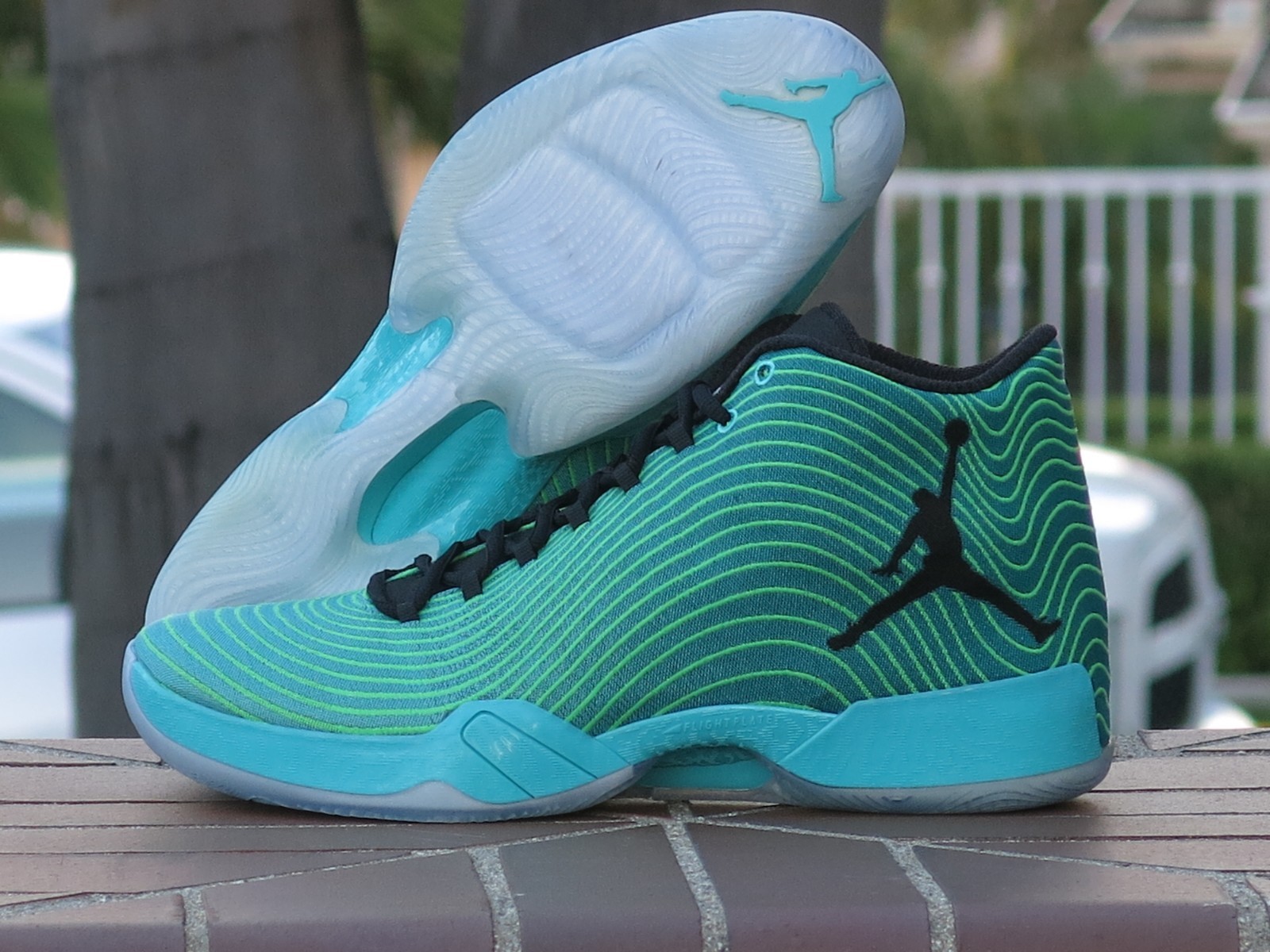 $_57.JPG?set_id=8800005007