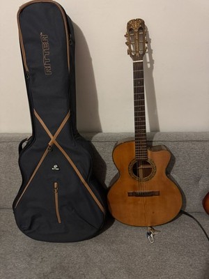 Dominion Electric Twin Step Diaz-spec | eBay