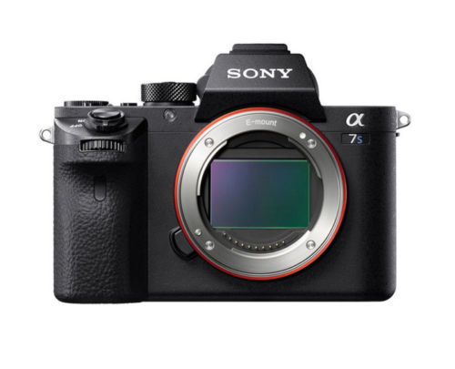 デジタルカメラ Digital Harinezumi guru Final 2011 DIGITAL