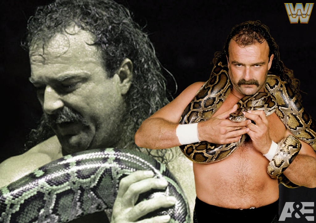 WWEレジェンド：ジェイク・“ザ・スネーク”・ロバーツ伝記 - 討論