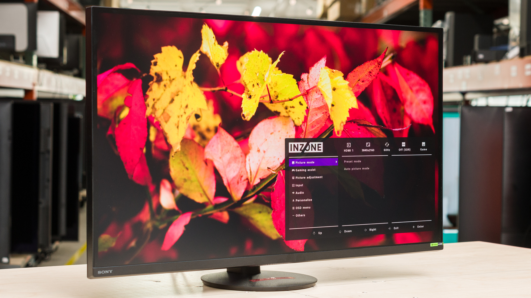 Sony INZONE M9 II Review - RTINGS.com