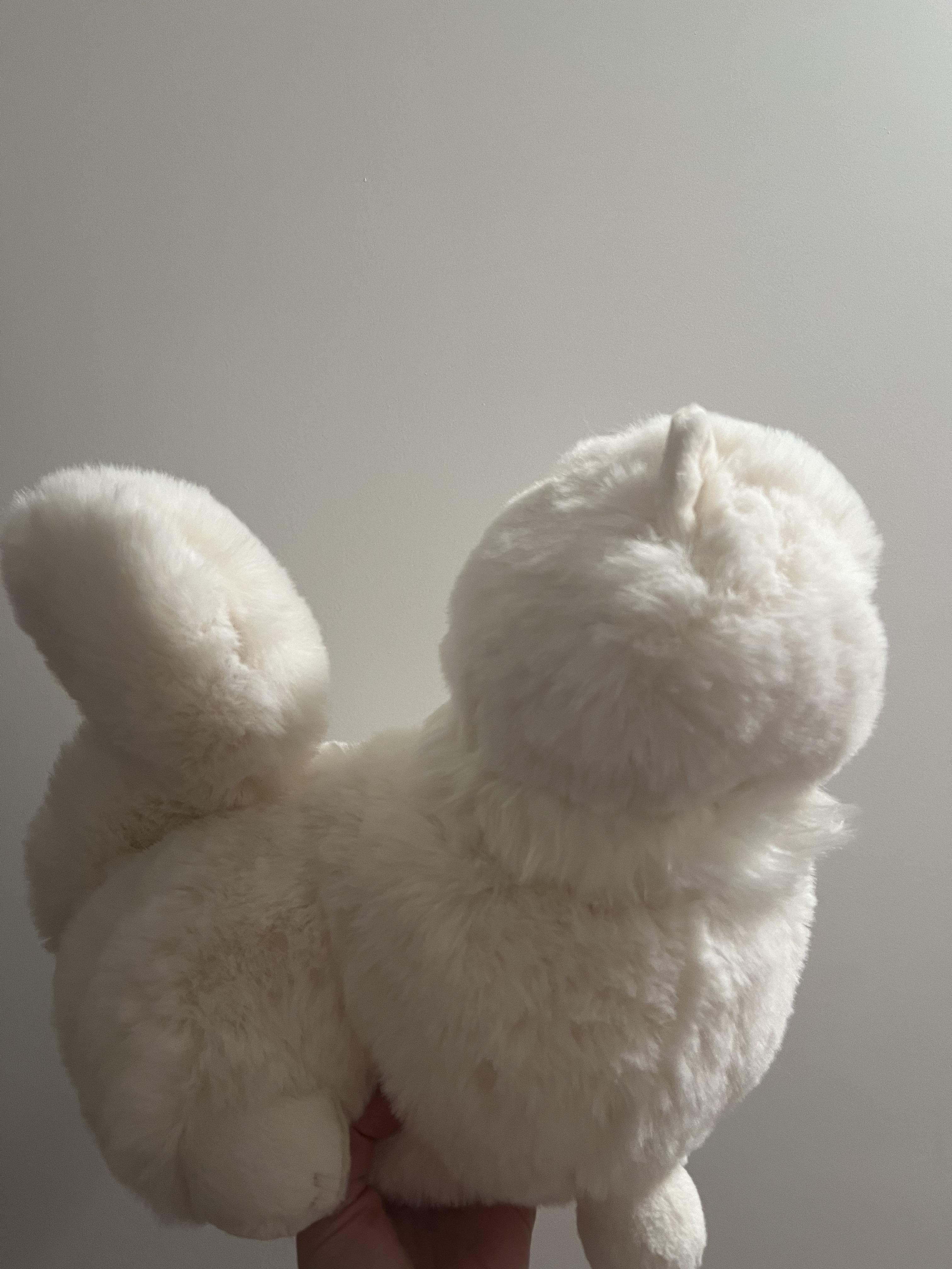 carissa persian cat ☁️ : r/Jellycatplush