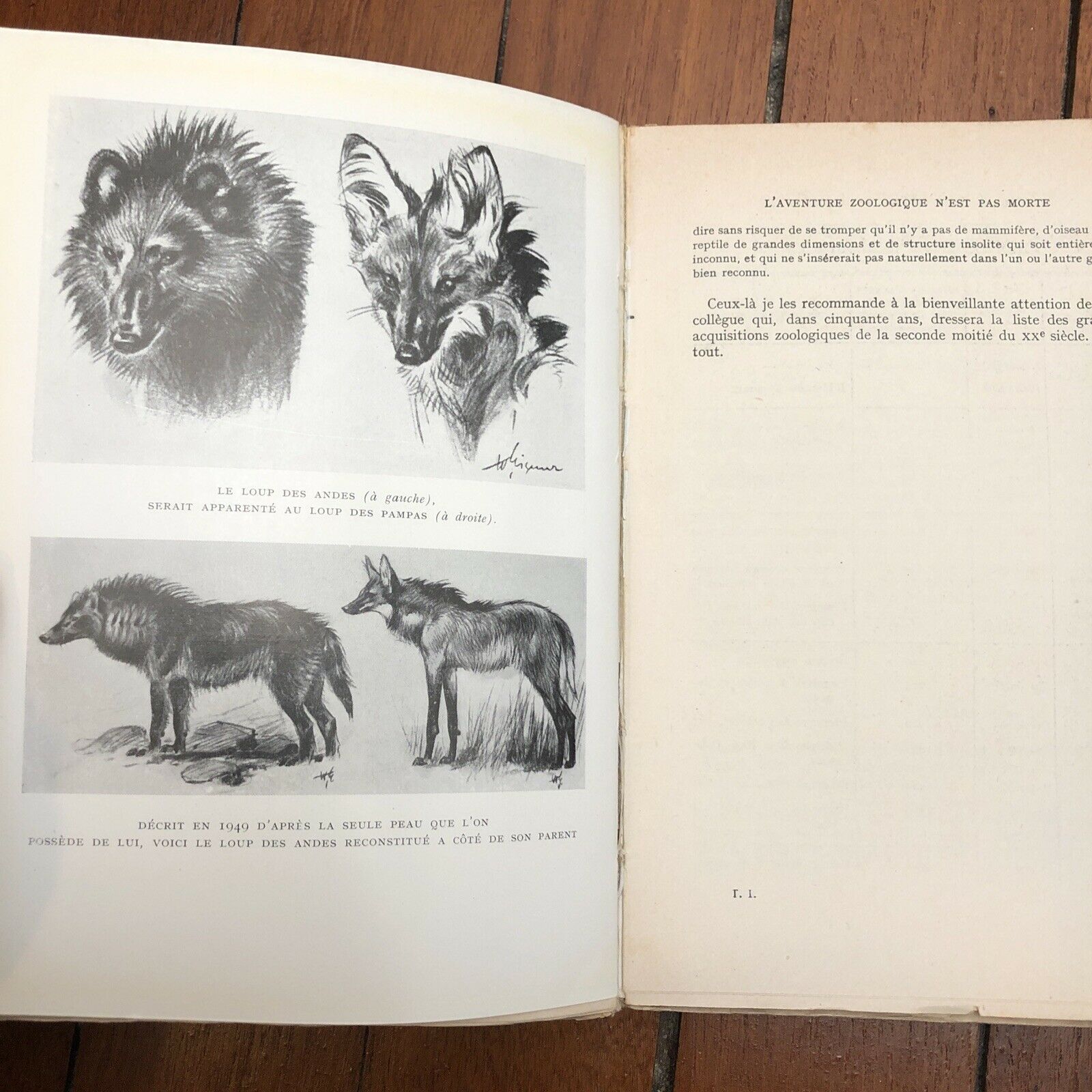 My 1955 first edition of 