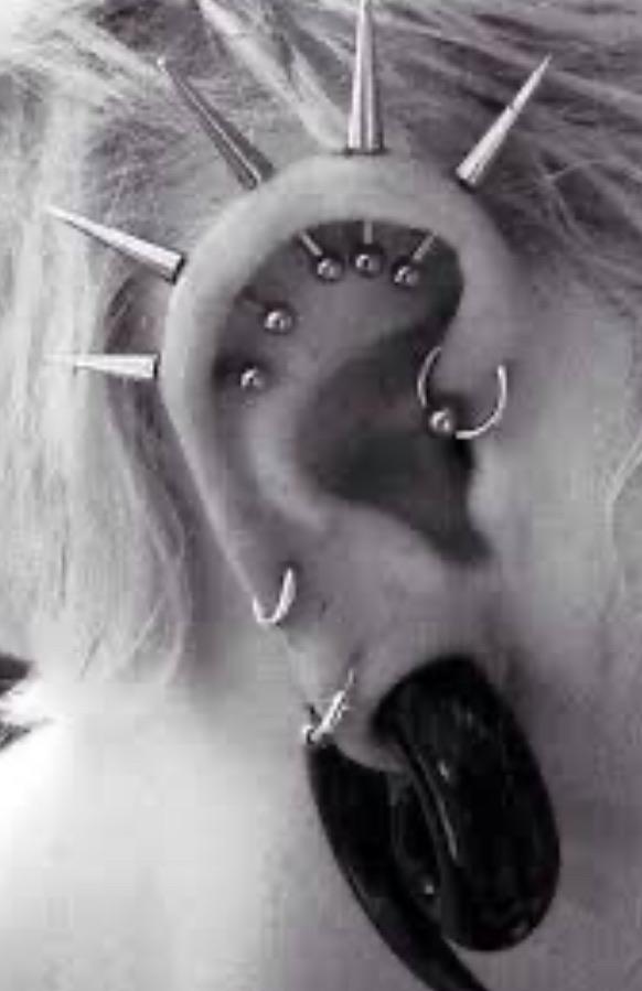 Whats this piercing called? Its the top spikey ones : r/bodymods