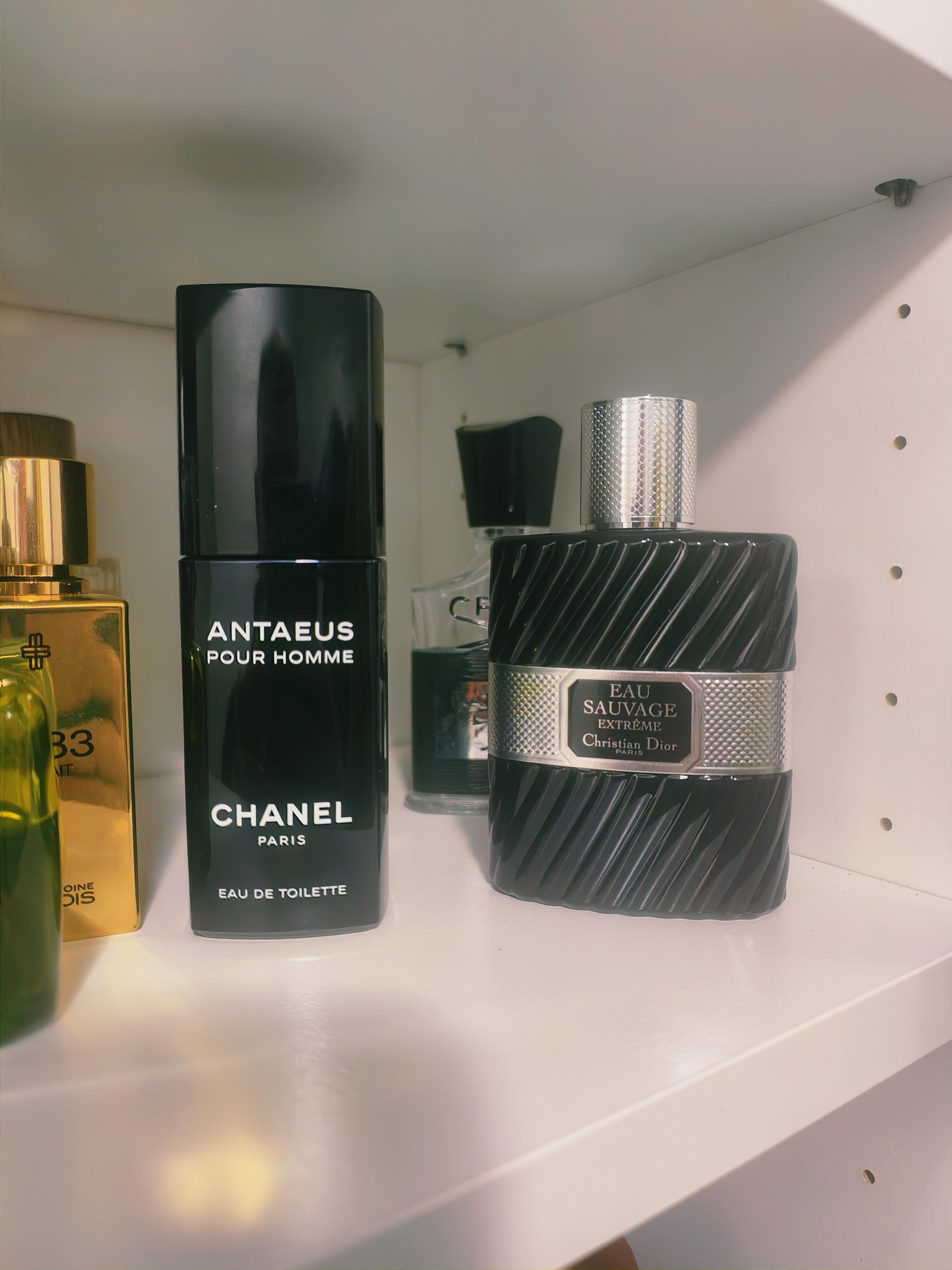 The Forgotten Alpha - Chanel Antaeus Pour Homme : r/ScentHeads
