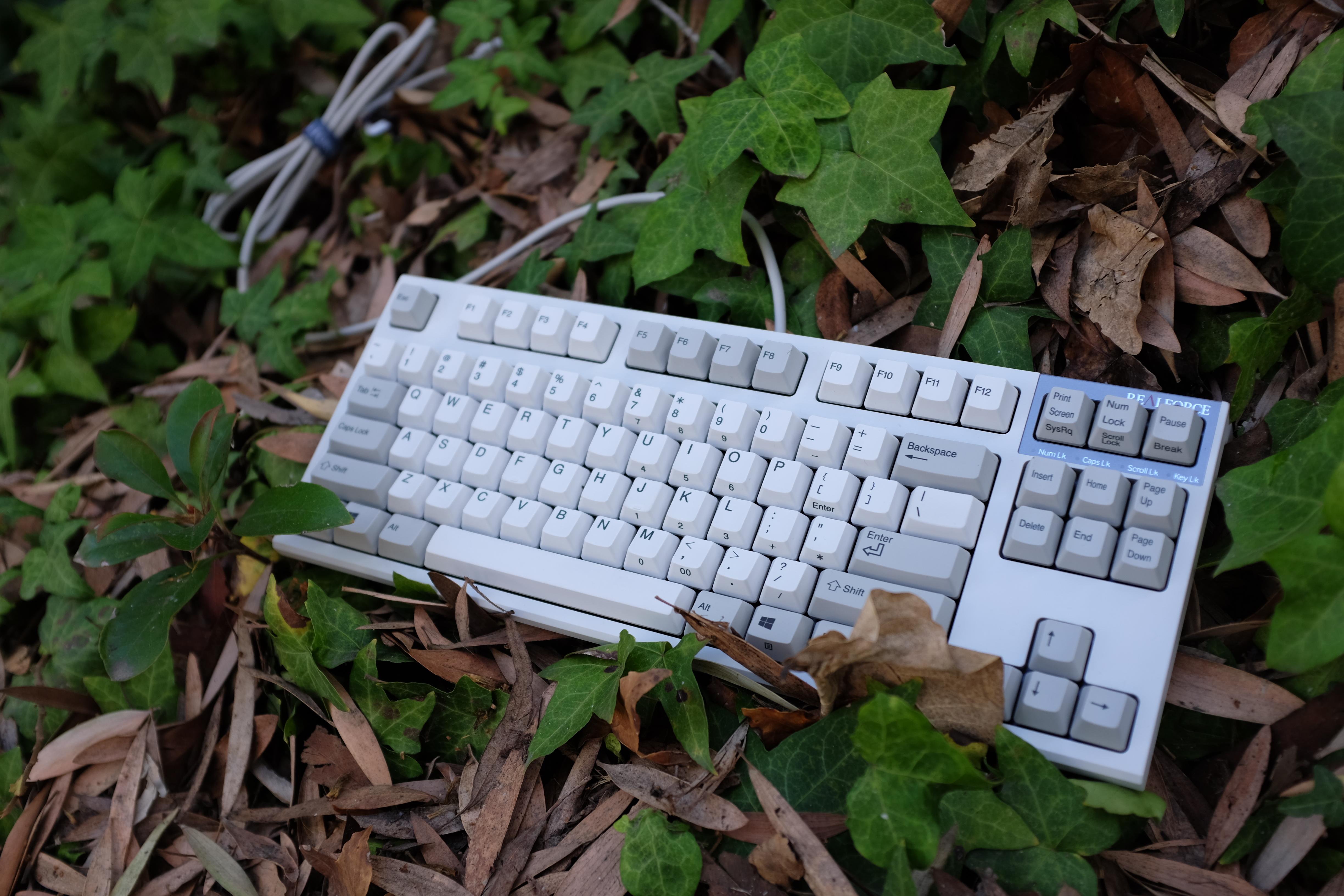 review] Topre Realforce TKL R2 55g : r/MechanicalKeyboards