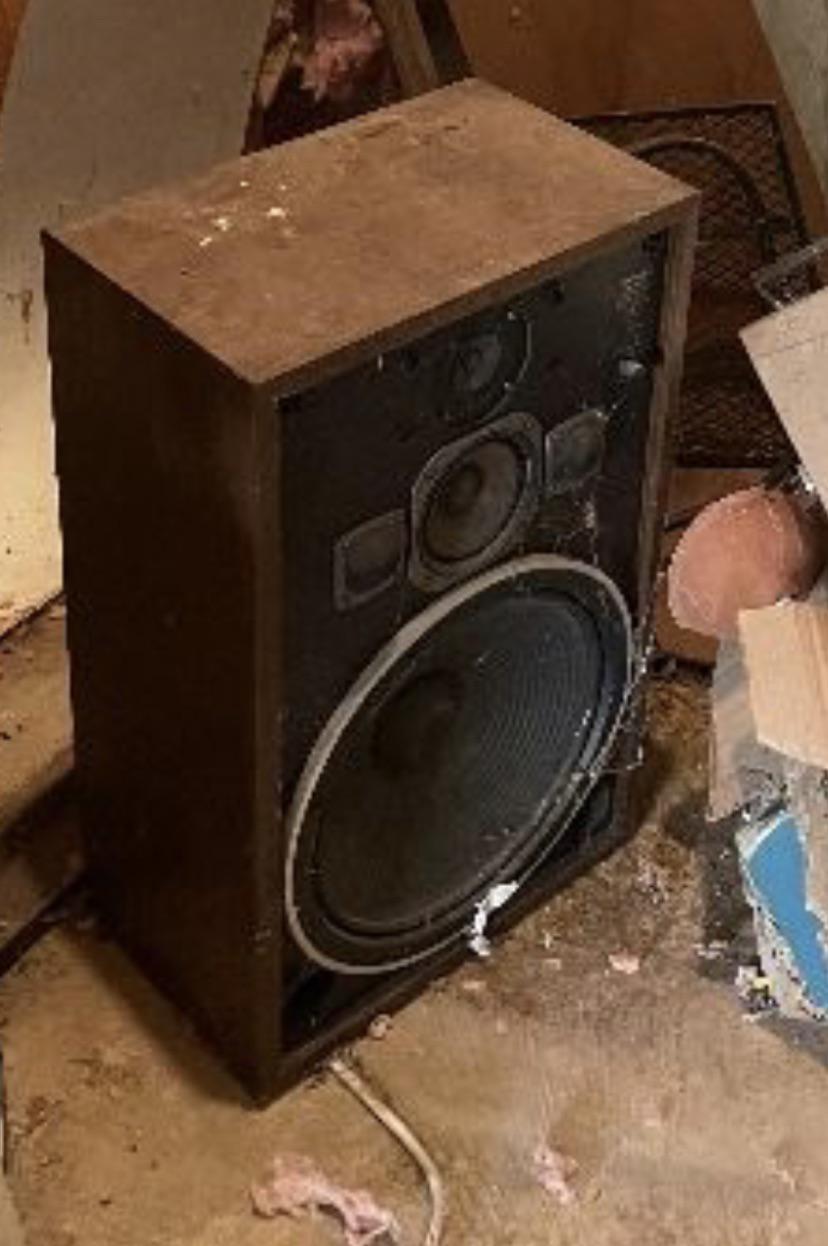 Can anyone identify this speaker? At an estate sale, but couldn't