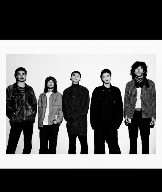 踊ってばかりの国 | Spotify