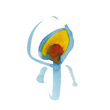 Luv (sic) pt5 (feat. Shing02) - song and lyrics by Nujabes