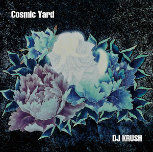 道 -STORY- - EP by DJ KRUSH | Spotify
