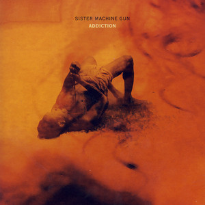 Sins Of The Flesh - Album by Sister Machine Gun | Spotify