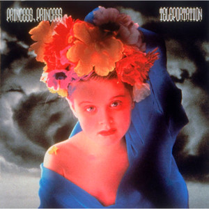 PRINCESS PRINCESS TOUR 2012～再会～“The Last Princess”＠東京ドーム