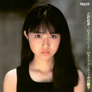 小川範子 サマーコンサート'92 Dix Neuf Ans (Live) - Album by Noriko