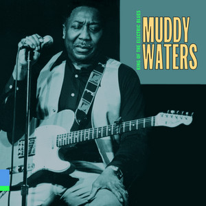 Hard Again - Album by Muddy Waters | Spotify